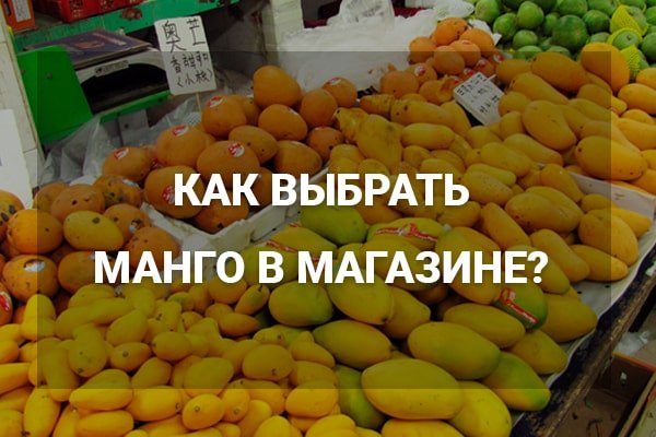 Как выбрать манго в магазине