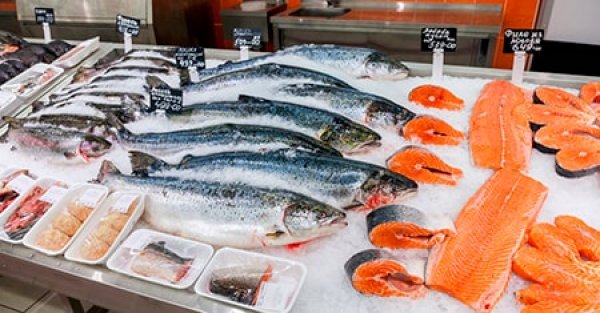 Как правильно выбрать рыбу свежую в магазине и на рынке?