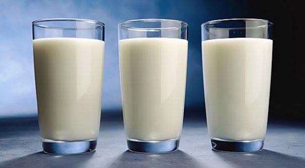  польза в молоке при ежедневном употреблении